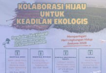 Kolaborasi WALHI-Mapala: Hijaukan Sumsel di Hari Lingkungan Hidup Sedunia Hari Lingkungan Hidup