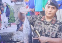 KKP Pukulan Telak Pencuri Ikan: Enam Kasus Ilegal Diproses Hukum Pencuri Ikan, kapal ikan ilegal