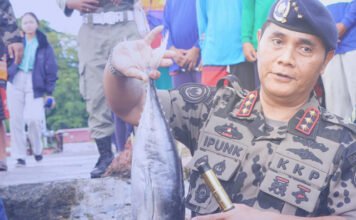 KKP Pukulan Telak Pencuri Ikan: Enam Kasus Ilegal Diproses Hukum Pencuri Ikan, kapal ikan ilegal
